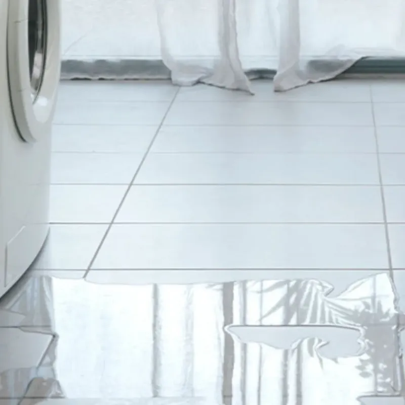 Appliance Leak Cleanup in Frisco, TX