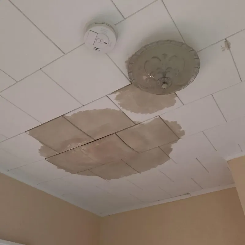 Ceiling Water Damage Repair in Frisco, TX