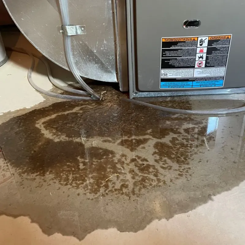 Pipe Burst and Leak Restoration in Frisco, TX